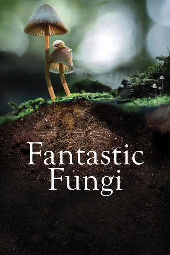 Fungos Fantasticos - 2019