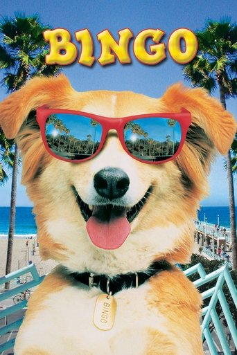 Bingo Esperto pra Cachorro - 1991