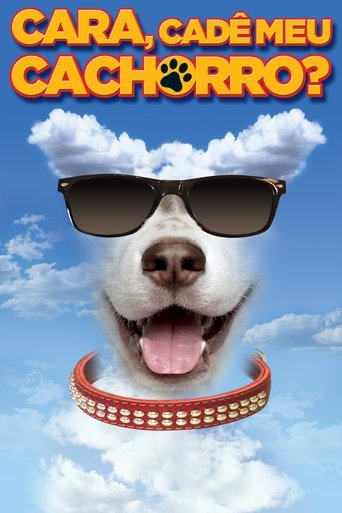 Cara Cade Meu Cachorro - 2014