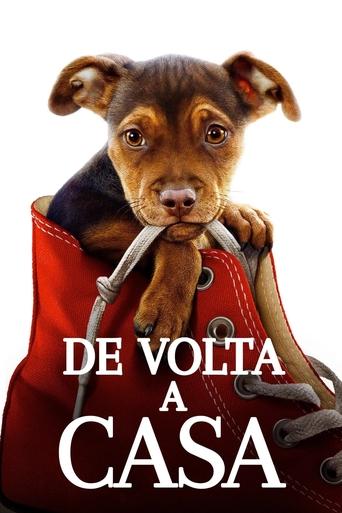 A Caminho de Casa - 2019