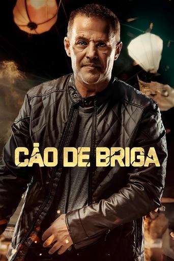 Cao de Briga - 2024