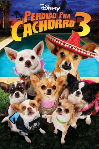 Perdido pra Cachorro 3 - 2012