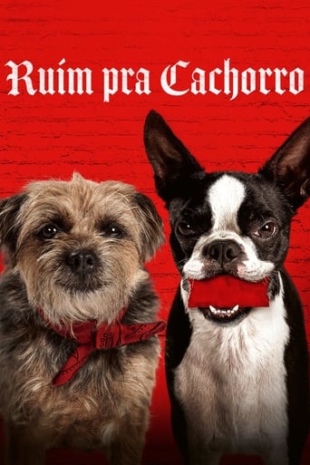 Ruim pra Cachorro - 2023 