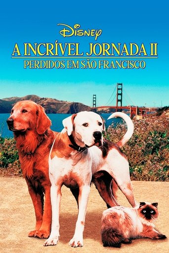 A Incrivel Jornada II Perdidos em Sao Francisco - 1996