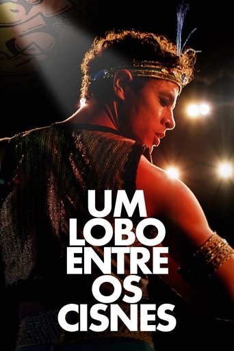 Um Lobo entre os Cisnes - 2025
