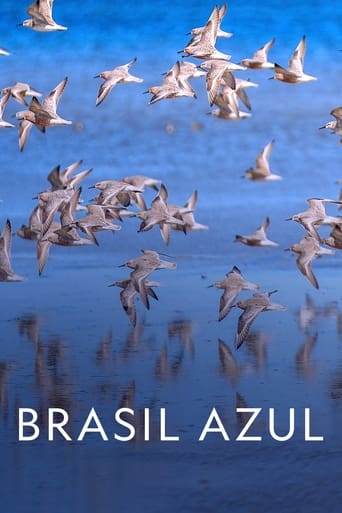 Brasil Azul - 2022