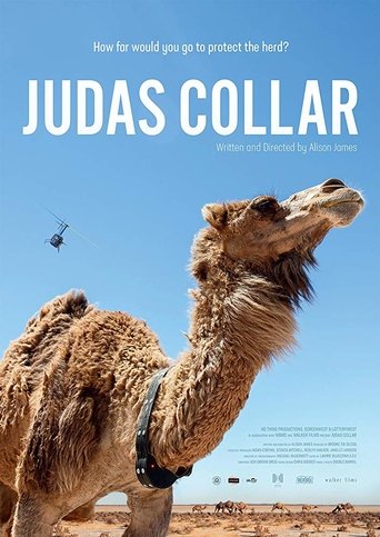 Judas Collar - 2018
