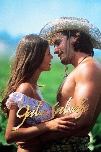 Novela - Gata Selvagem