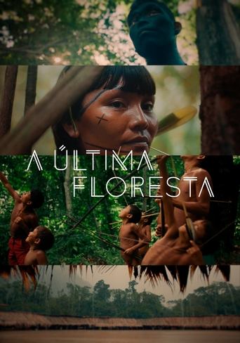 A Ultima Floresta - 2021 (L)