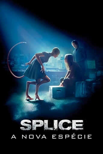 Splice A Nova Especie - 2009