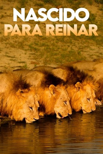 Brothers in Blood: The Lions of Sabi Sand - 2015