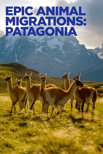 Migracoes Animais Epicas Patagonia - 2023 (L)