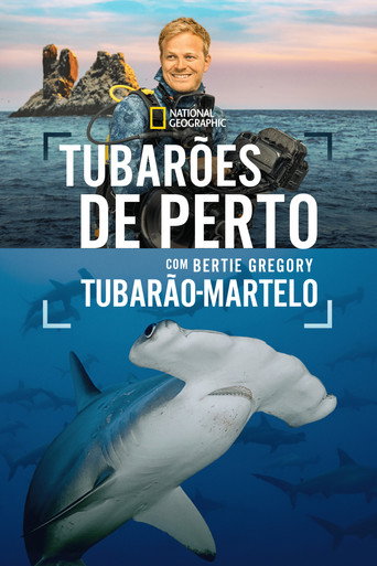 Tubaroes de Perto com Bertie Gregory Tubarao Martelo - 2026 (L)