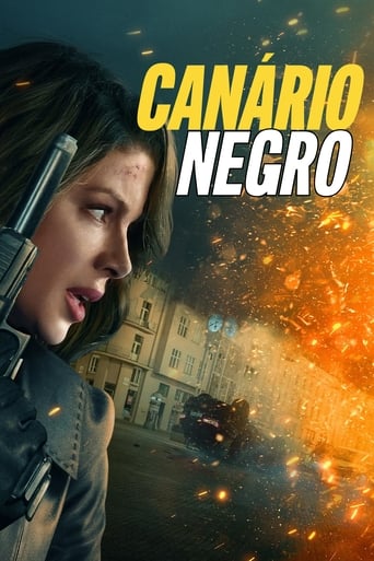 Canario Negro - 2024 