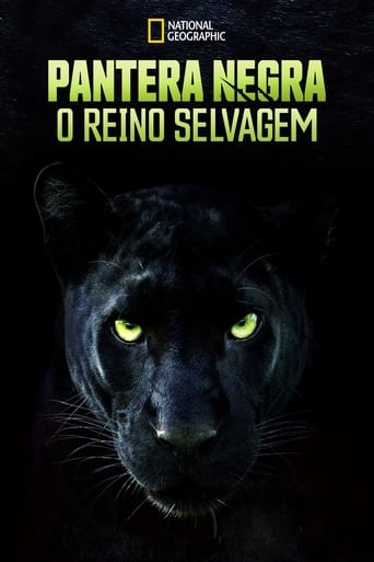 Pantera Negra O Reino Selvagem - 2022