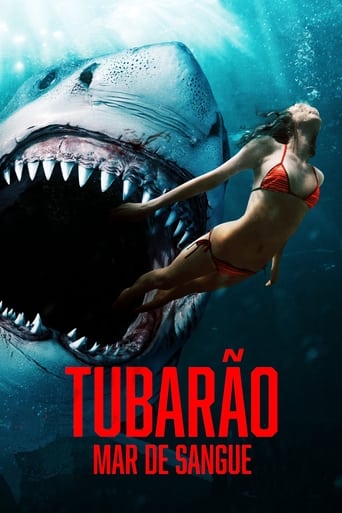 Tubarao Mar de Sangue - 2022