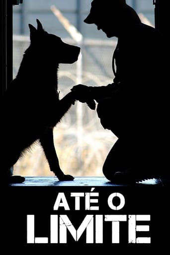 Ate o Limite - 2019