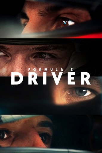 Formula E DRIVER