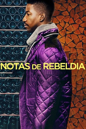 Notas de Rebeldia - 2020
