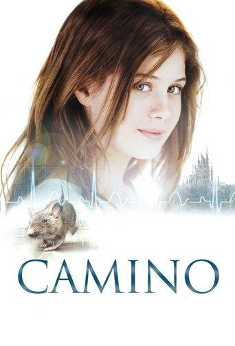 Camino - 2008 (L)
