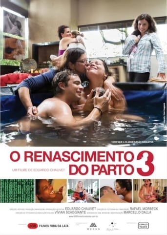 O Renascimento do Parto - 2013