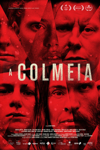 A Colmeia - 2022