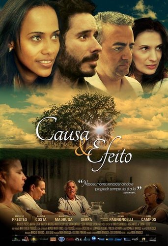 Causa e Efeito - 2014