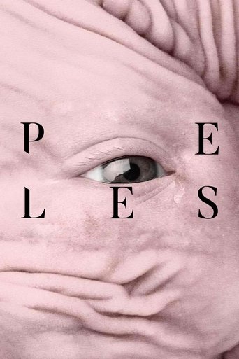 Peles - 2017 