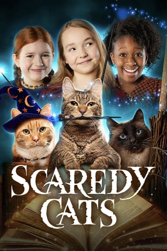 Scaredy Cats 