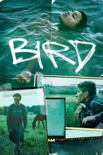 Bird - 2024 (L)