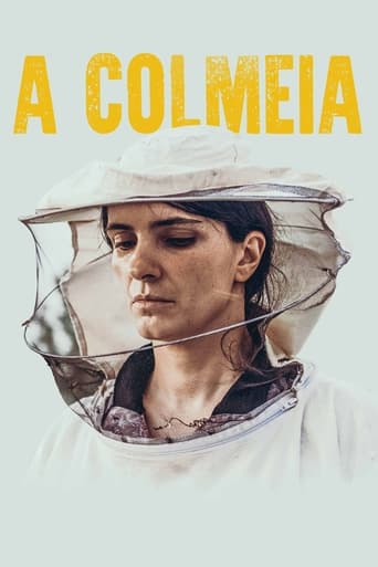 A Colmeia - 2021