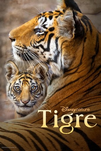 Tigre - 2024 (L)
