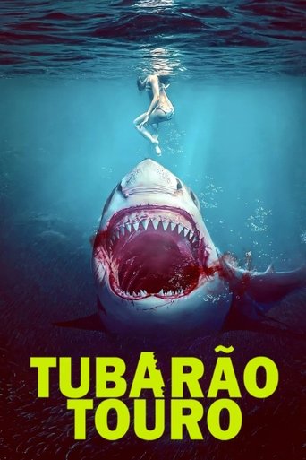Tubarao Touro - 2025 