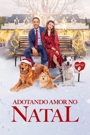 Adotando Amor no Natal - 2021