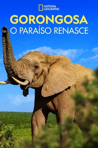 Gorongosa O Paraiso Renasce - 2023