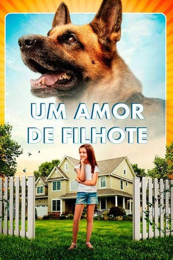 Um Amor de Filhote - 2018