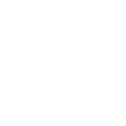 Megapix FHD